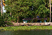 Kerala backwaters, our three hours neighborhood tour in the narrow canoe towards Vembanad Lake and along one of the  narrow canal running near our guest house at Kumarakom. 